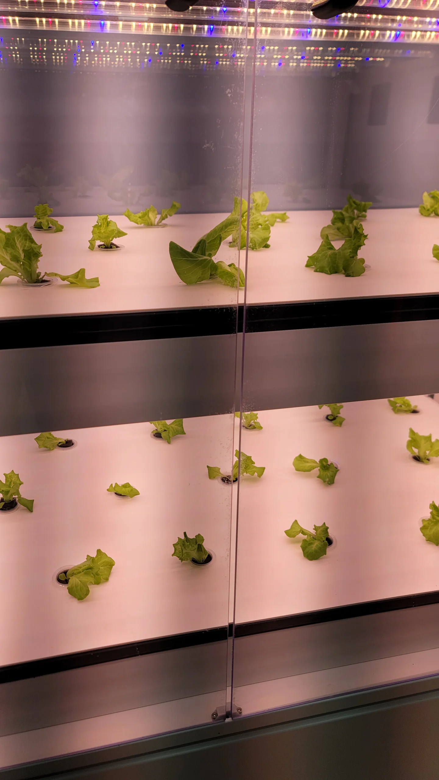 천안 초등학교 교육시설 AI 스마트팜 설치 현장 사진 4